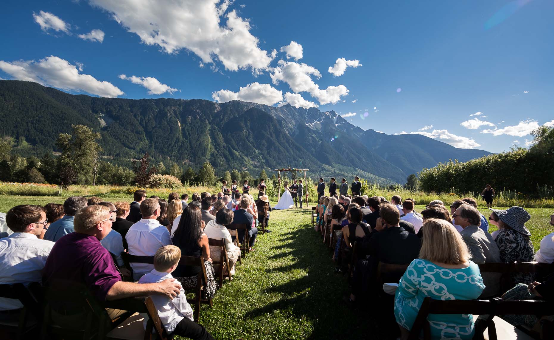 Whistler wedding photographer captures summer mountain wedding in Pemberton
